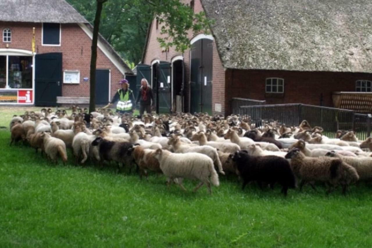 Huisje Exloo Exterior foto